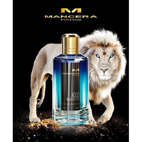 Mancera - Aoud Blue Notes
