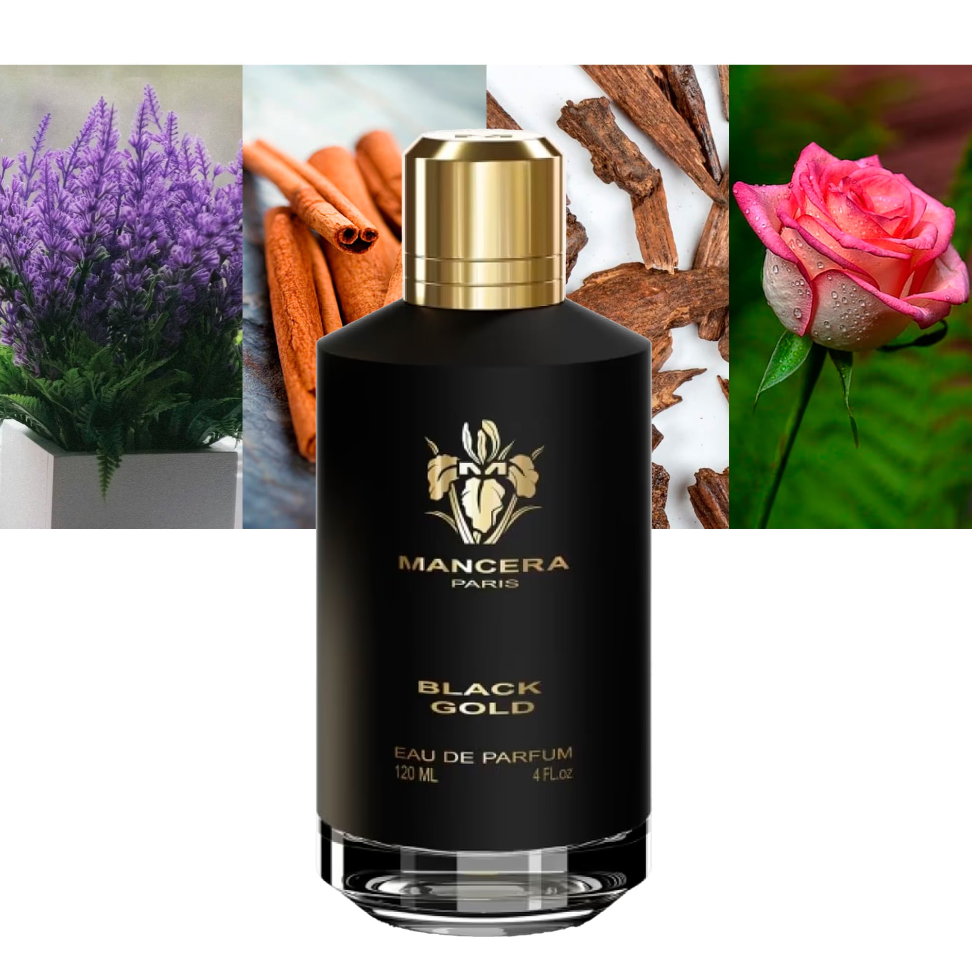 Mancera - Black Gold