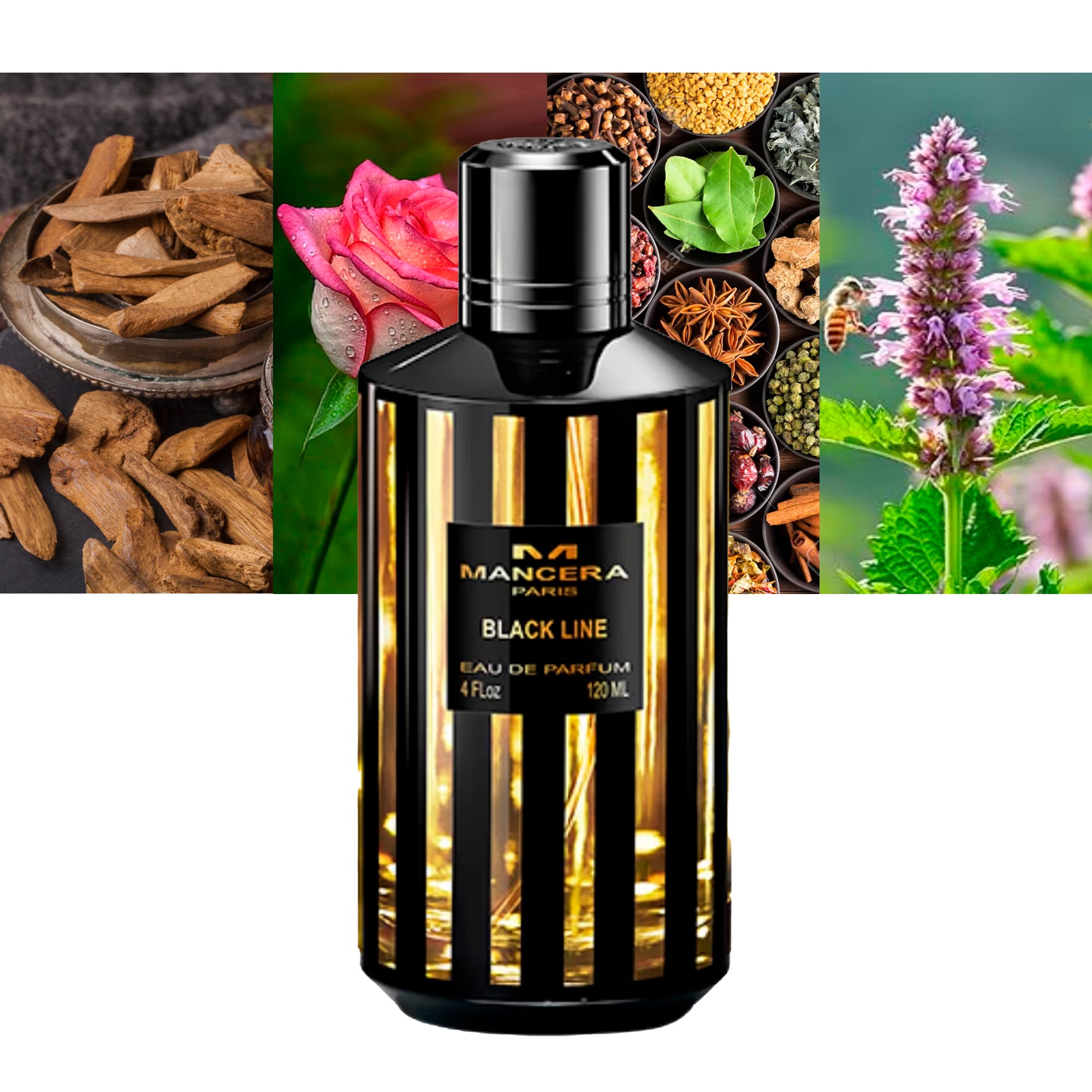 Mancera - Black Line