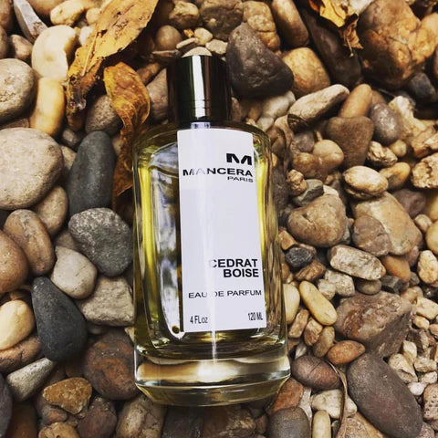 Mancera - Cedrat Boise