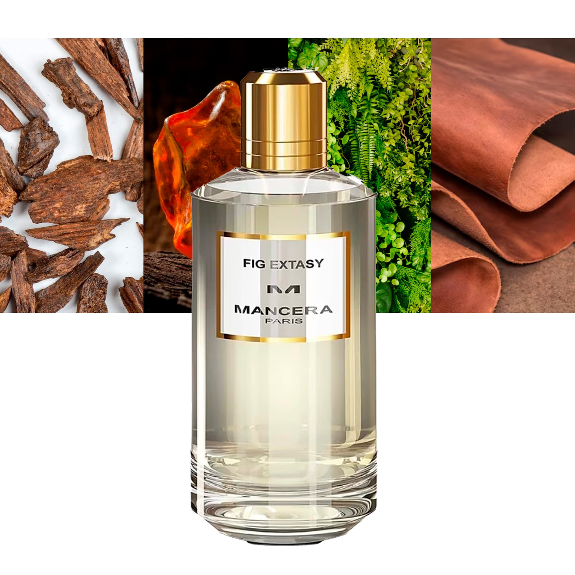 Mancera - Fig Extasy