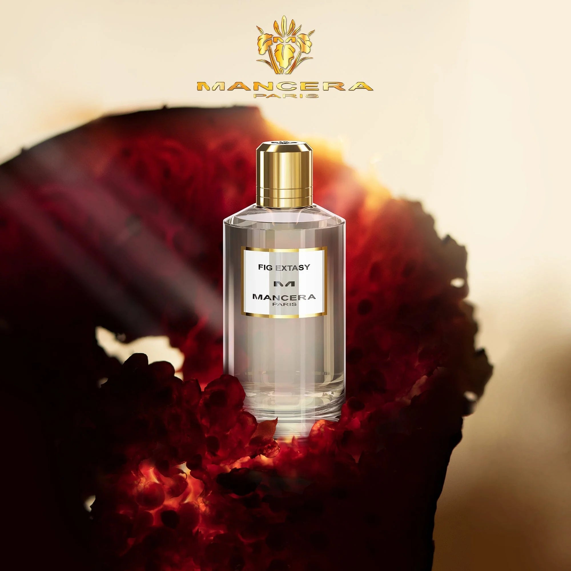 Mancera - Fig Extasy