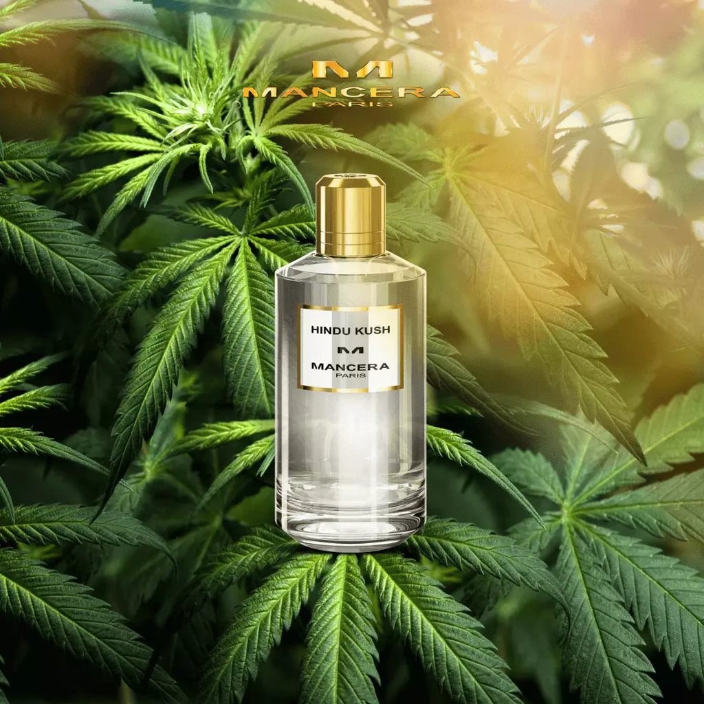 Mancera - Hindu Kush