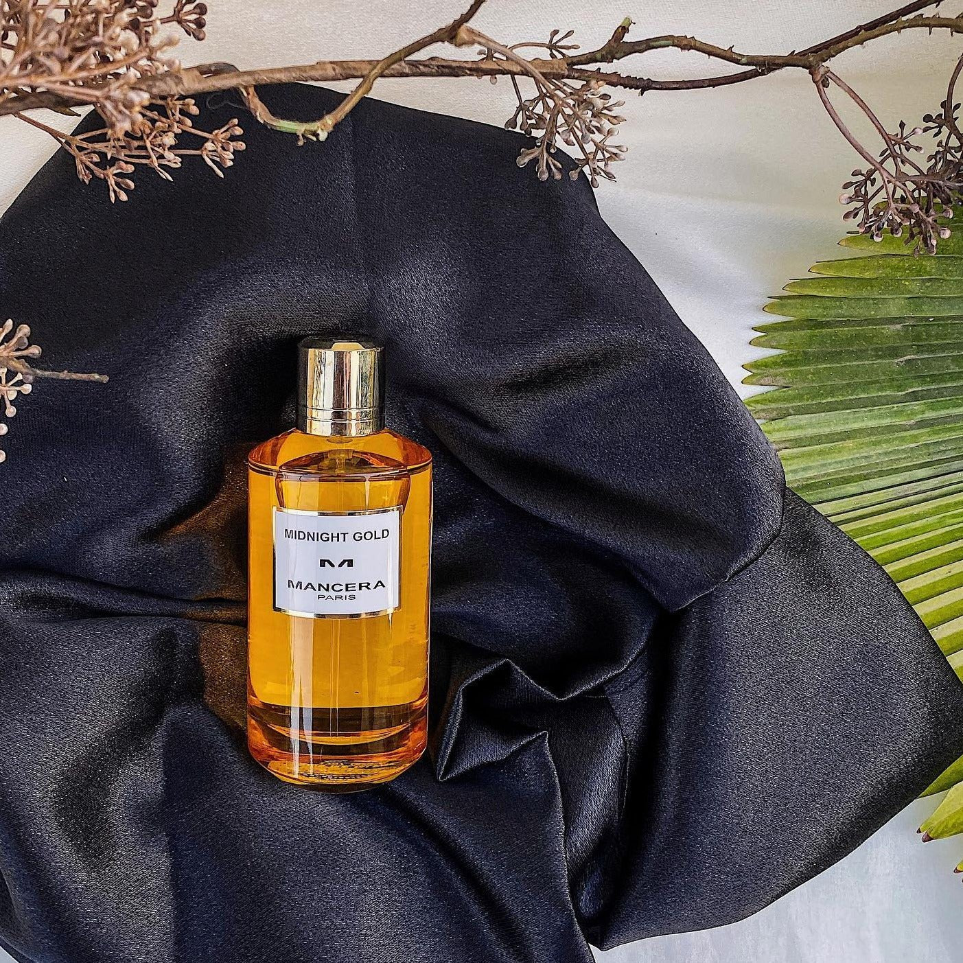 Mancera - Midnight Gold